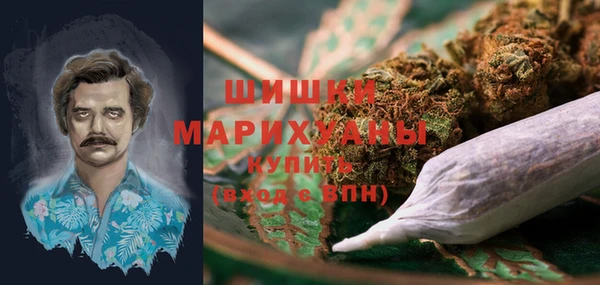 эйфоретик Арсеньев